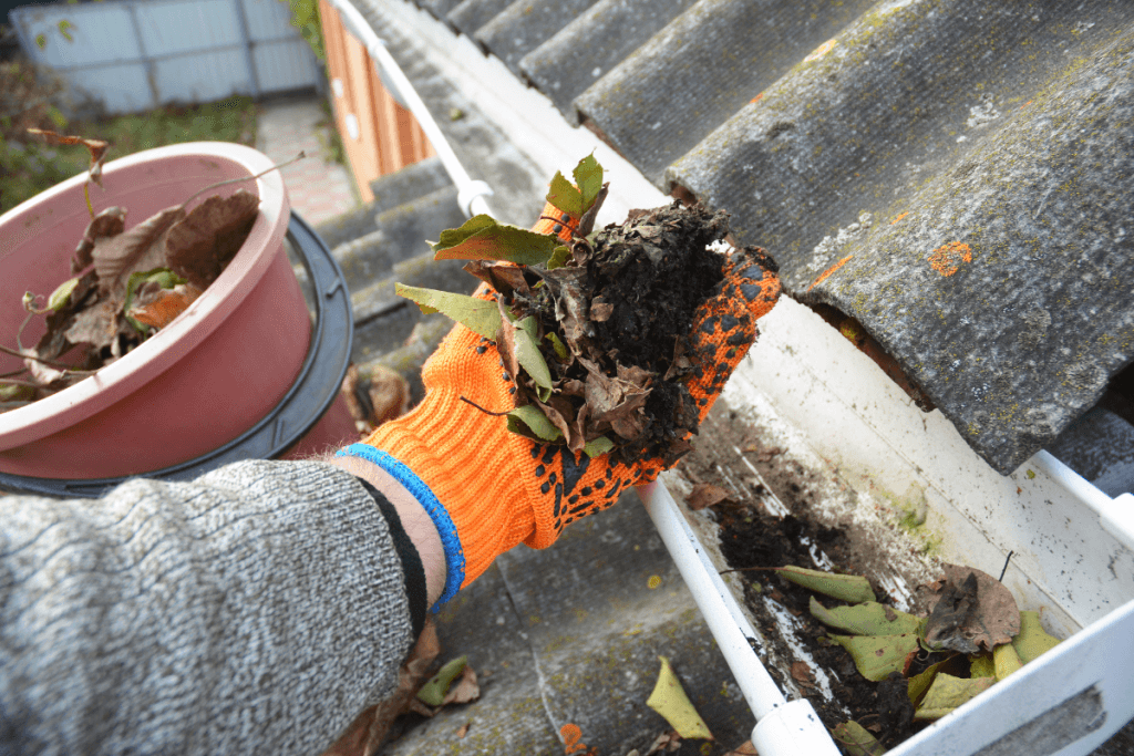 gutter cleaning