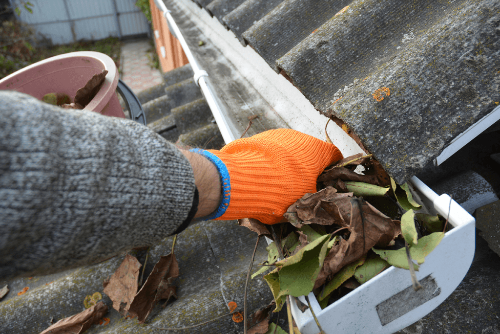 cleaning leaves from the gutter